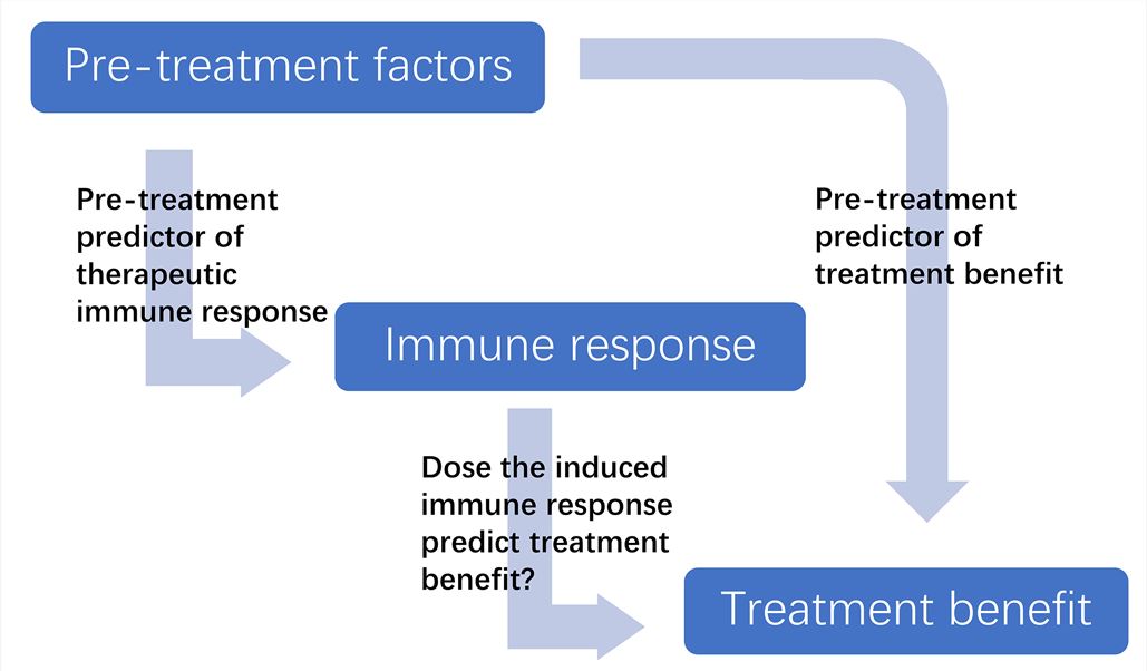 Schematic of a pathway to identify relevant biomarkers capable of predicting immunological and clinical efficacy - Creative Biolabs