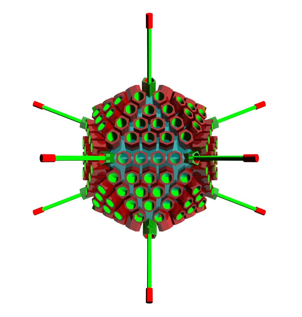 The structure of canine adenovirus.