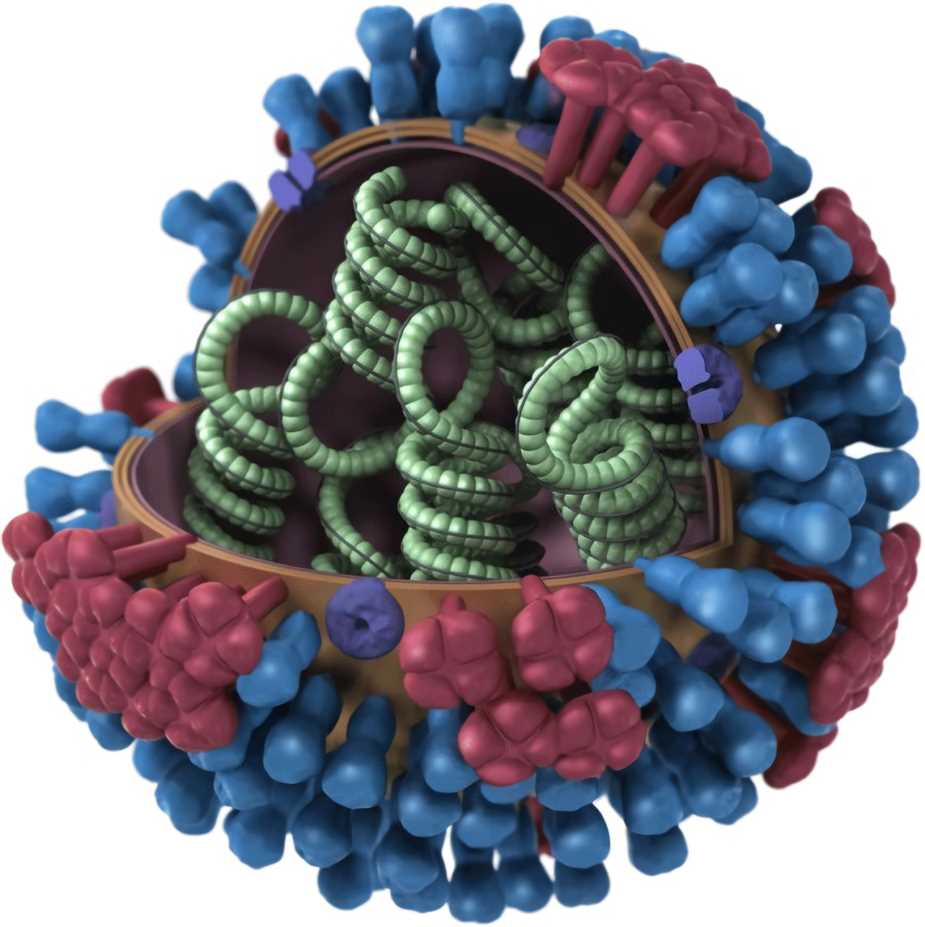 Caprine Arthritis Encephalitis Virus Vaccine - Creative Biolabs