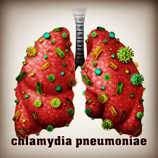 The Picture of Chlamydiae pneumoniae – Creative Biolabs
