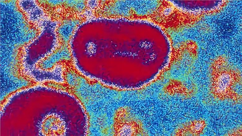 Cowpox Virus - Creative Biolabs