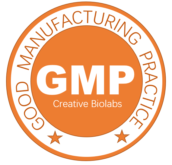 Custom GMP-grade mRNA Synthesis Service – Creative Biolabs