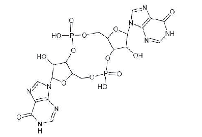 Chemical structure of c-di-IMP.