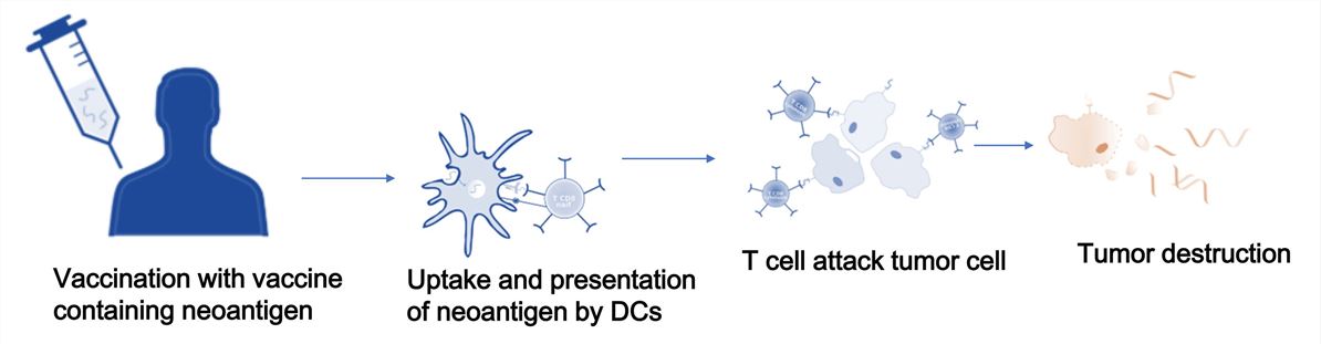 Dendritic Cell (DCs) Based Neoantigen Cancer Vaccines