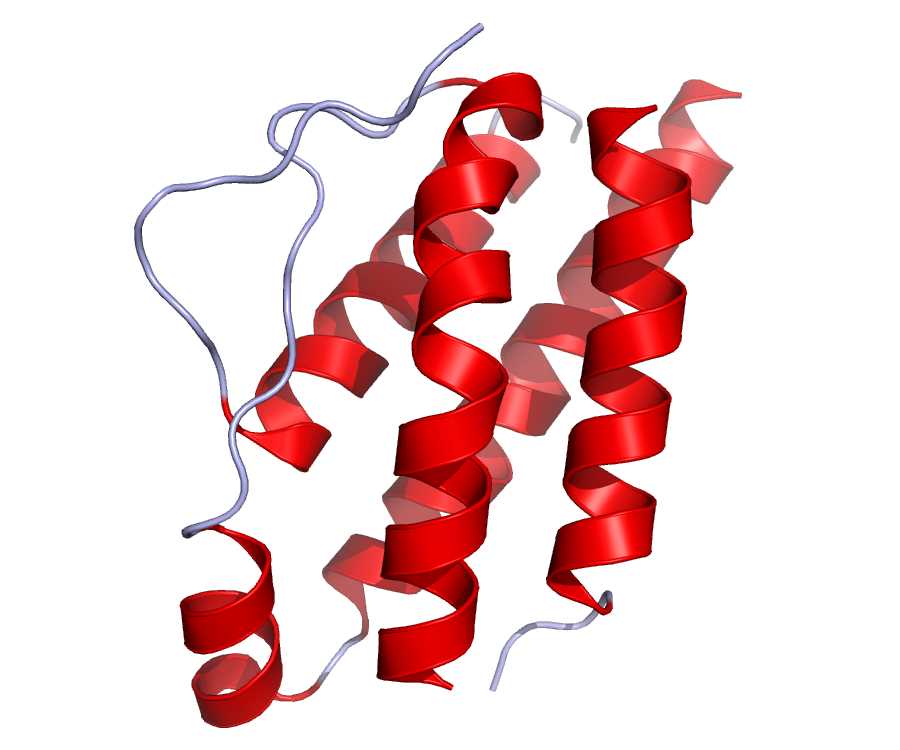 Interleukin 2 - Creative Biolabs