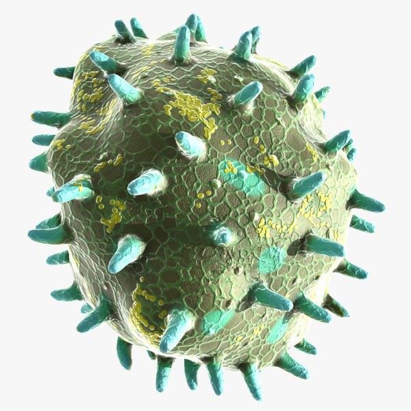 Design of Arenavirus Based Vaccines for Cancer