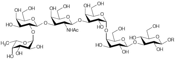 Fig.1 Globo H. (Verdoliva, Valentina, Michele Saviano & Stefania De Luca, 2019) (OA Literature)