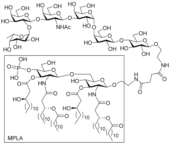 Fig. 1 Structure diagram of conjugates of Globo H and MPLA. (Zhou, Zhifang, et al., 2015) (OA Literature)