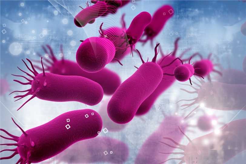 Bacterial pathogens – Creative Biolabs