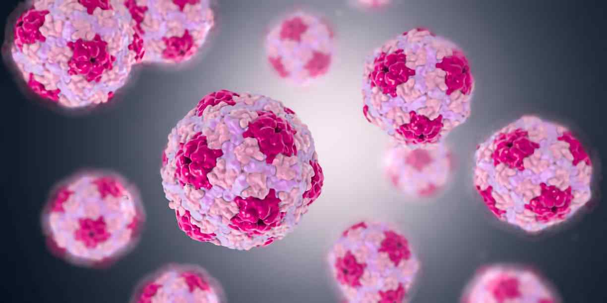 Poliovirus Vaccines - Creative Biolabs