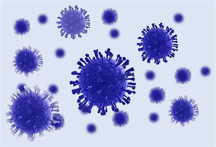 Equine Infectious Anemia Virus Vaccine - Creative Biolabs