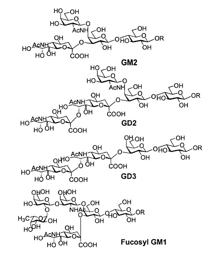 Structures of Ganglioside Antigens