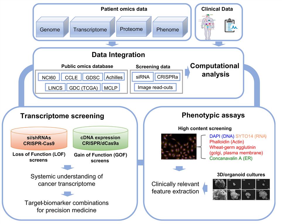Resources and technologies for transcriptome modeling and phenotypic screening.