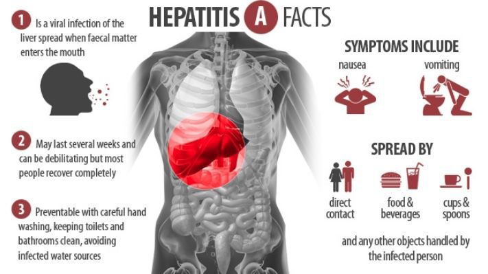 The facts of Hepatitis A Virus.