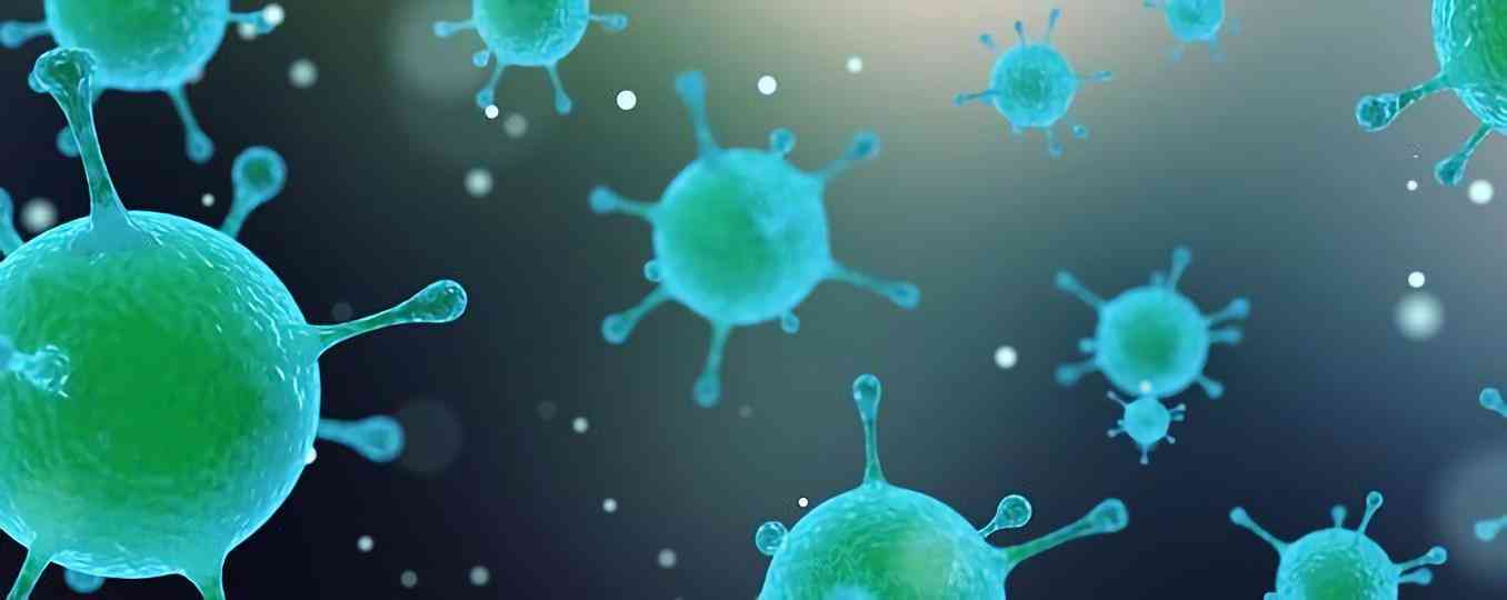 Human Respiratory Syncytial Virus Vaccine