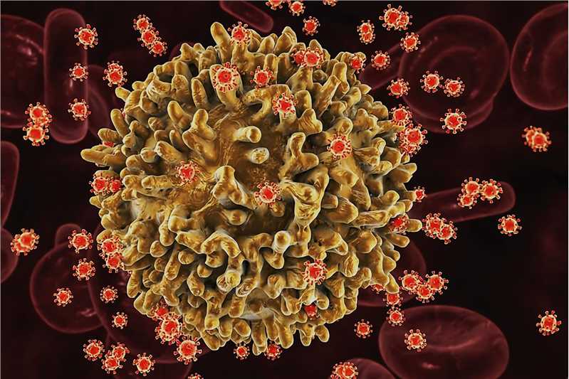 Jaagsiekte Sheep Retrovirus Vaccine - Creative Biolabs