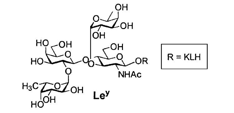 Structure of tumor-associated Lewisy antigen
