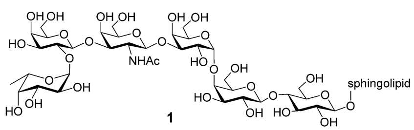 Structure of tumor-associated Globo H antigen
