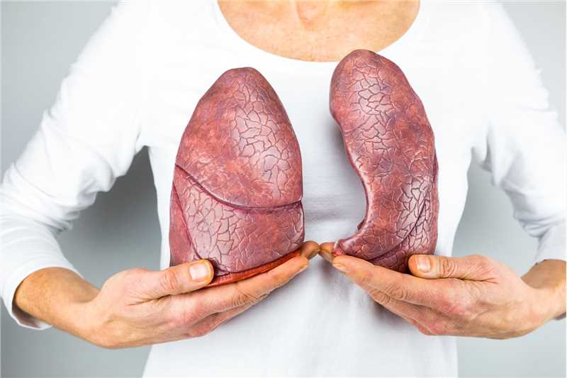 Lung Cancer - Creative Biolabs