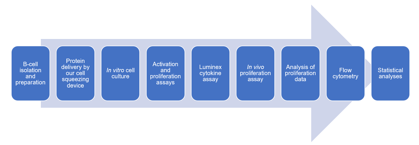 Microfluidic Cell-squeezing Technology for Cell-based Vaccine Production – Creative Biolabs