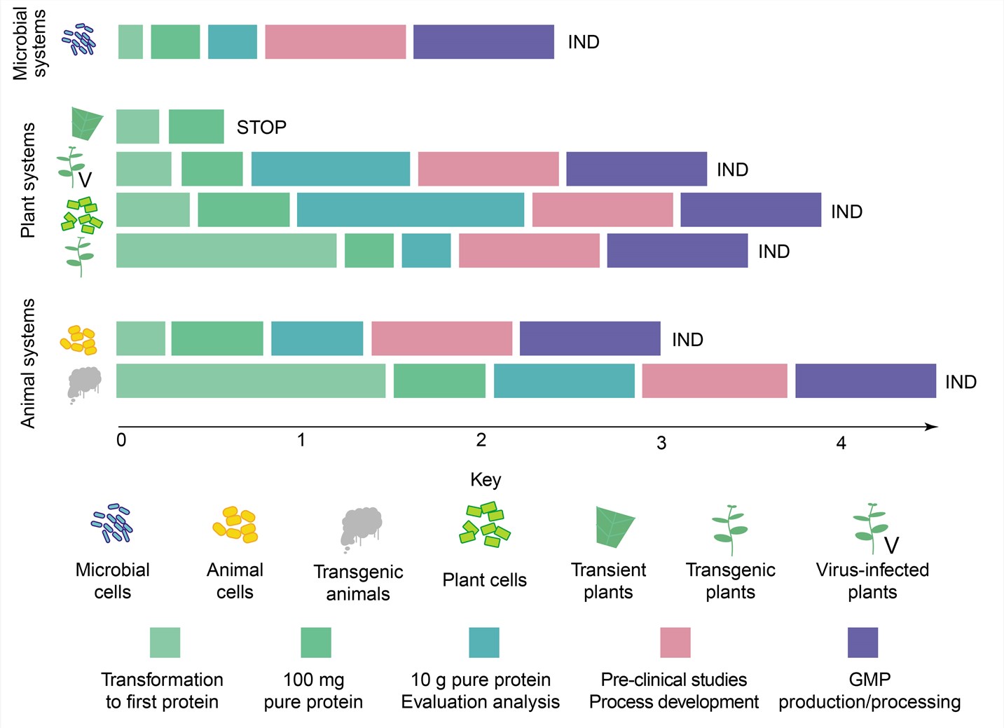 Comparison of different expression systems – Creative Biolabs