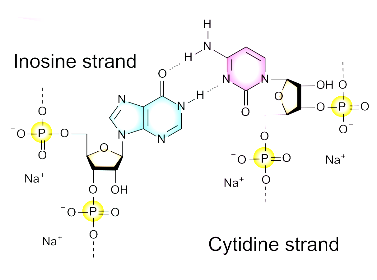 Chemical structure of polyinosinic:polycytidylic acid (sodium salt), colour coded.
