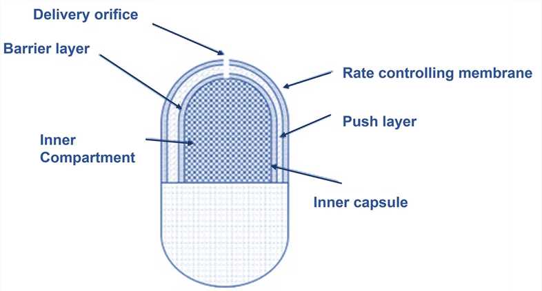 Image result for osmotic pump