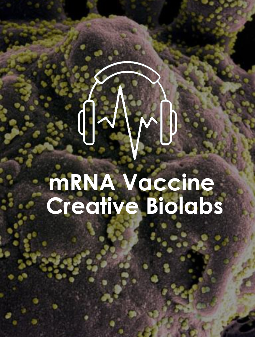 mRNA Vaccine Creative Biolabs