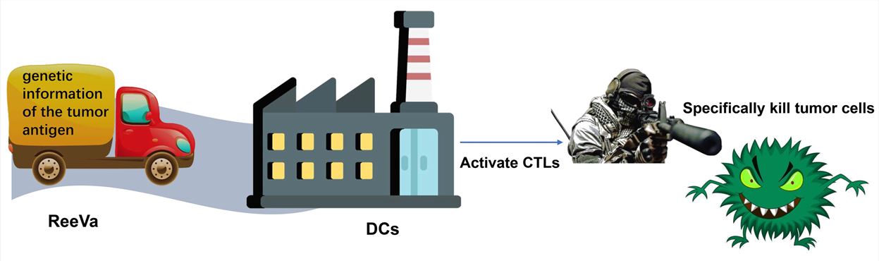 ReeVa Platform – Creative Biolabs