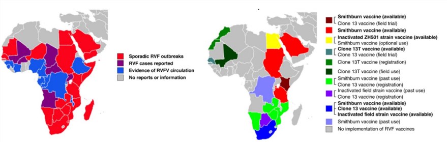 Rift Valley Fever Vaccine