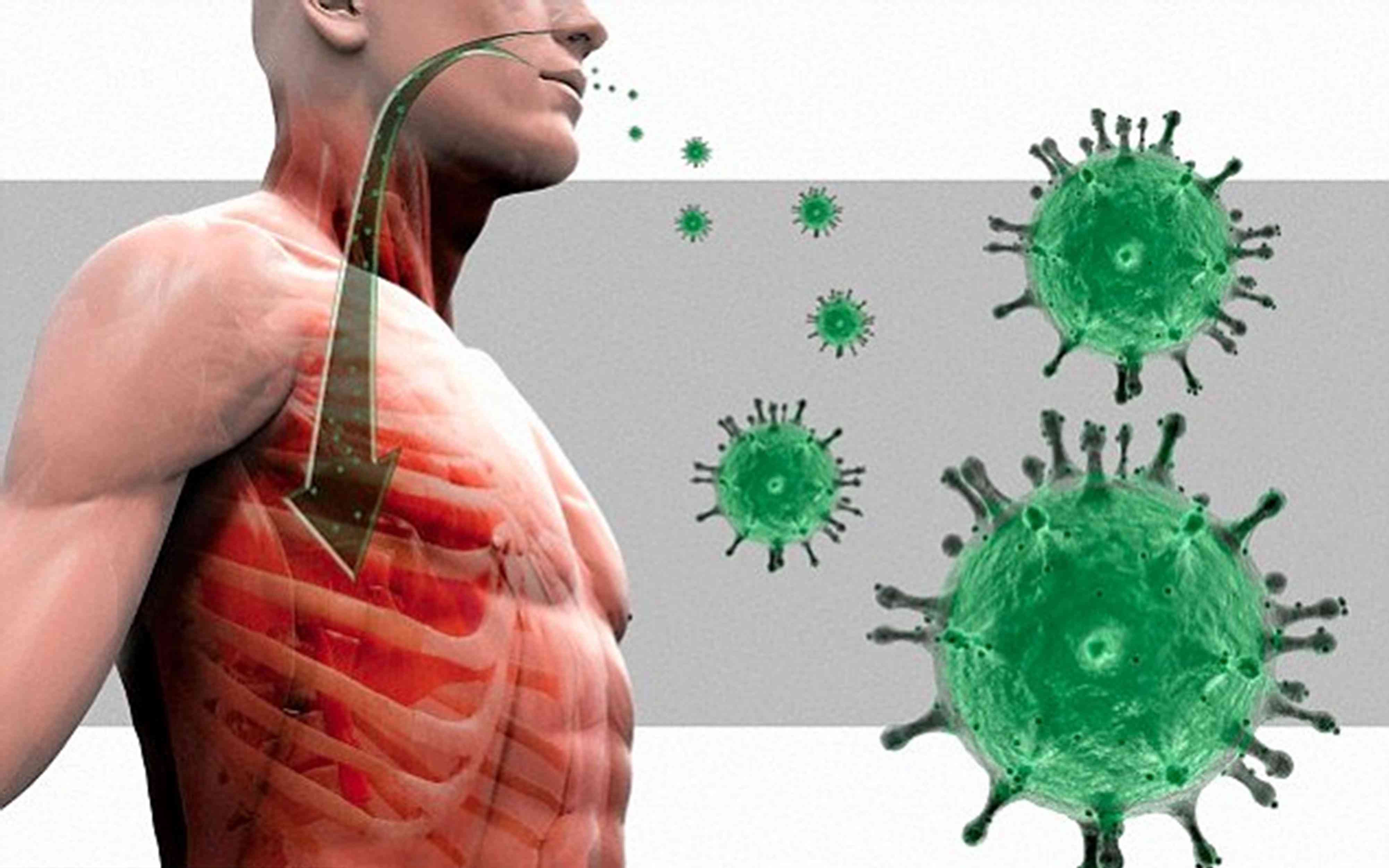 SARS Vaccines - Creative Biolabs