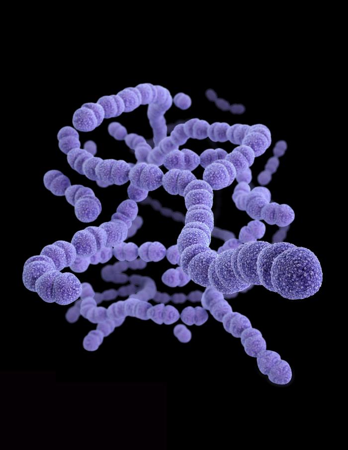 Streptococcus pneumoniae Vaccines – Creative Biolabs