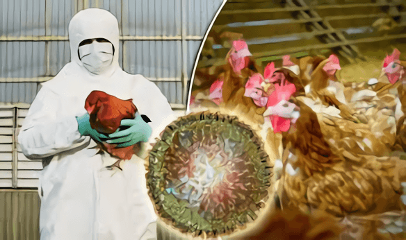 Avian Influenza - Creative Biolabs