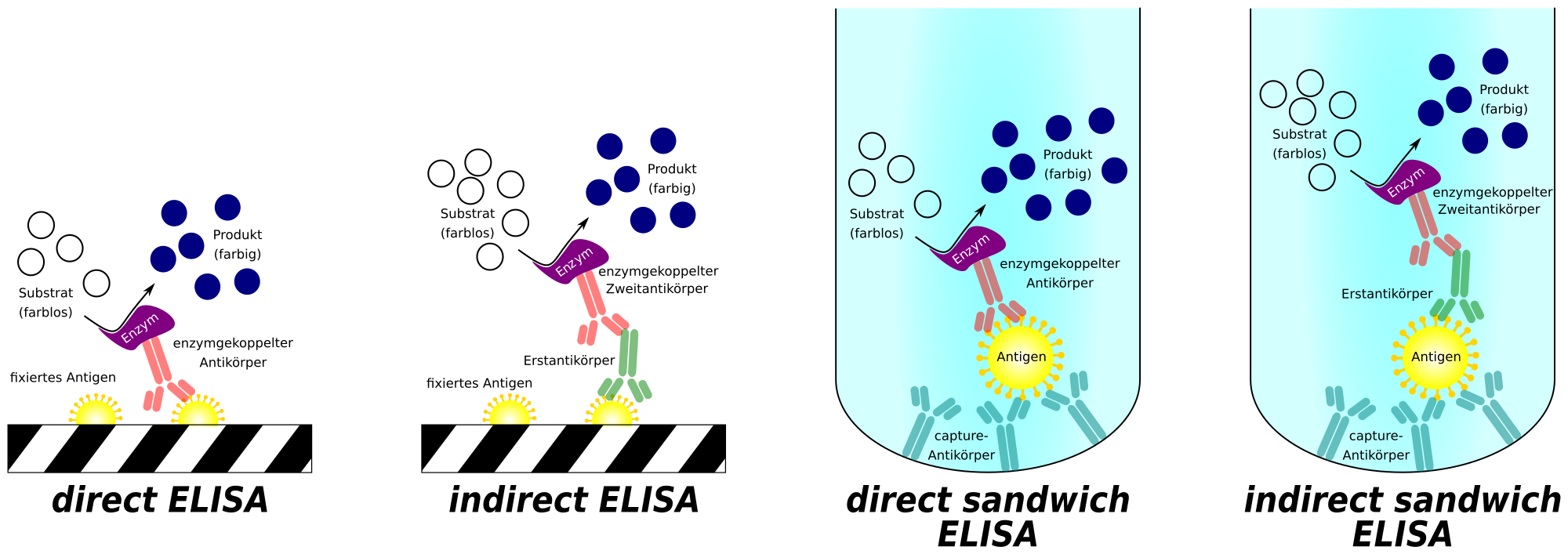 The Potency Tests of Vaccines Creative Biolabs
