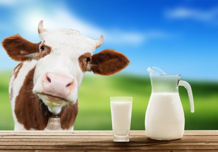 Vaccines for Cow’s Milk Allergy– Creative Biolabs