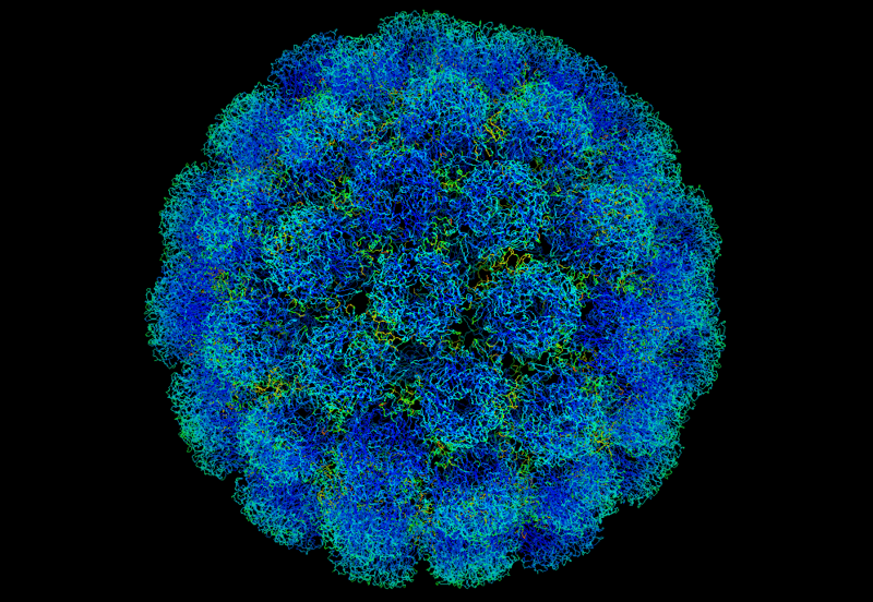 Vaccines for Nipah Virus– Creative Biolabs