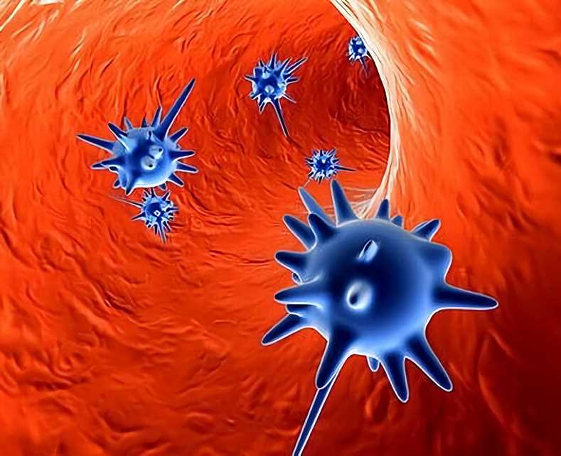 Xenotropic Murine Leukemia Virus-related Virus Vaccine - Creative Biolabs