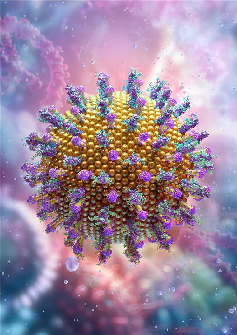 Vaccine Target Validation