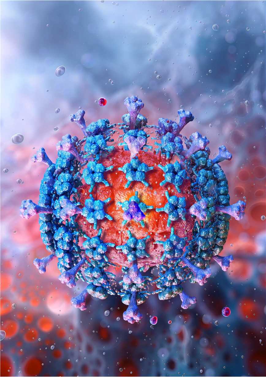 Vaccine Target Validation