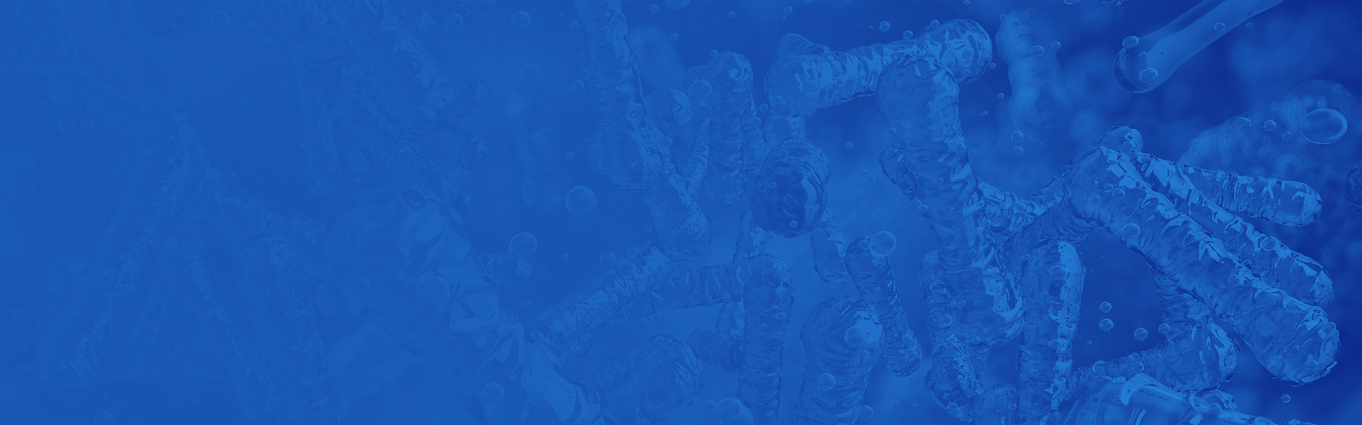 bacterial vaccines solution