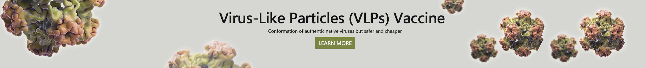 Vaccine Development Service Creative Biolabs