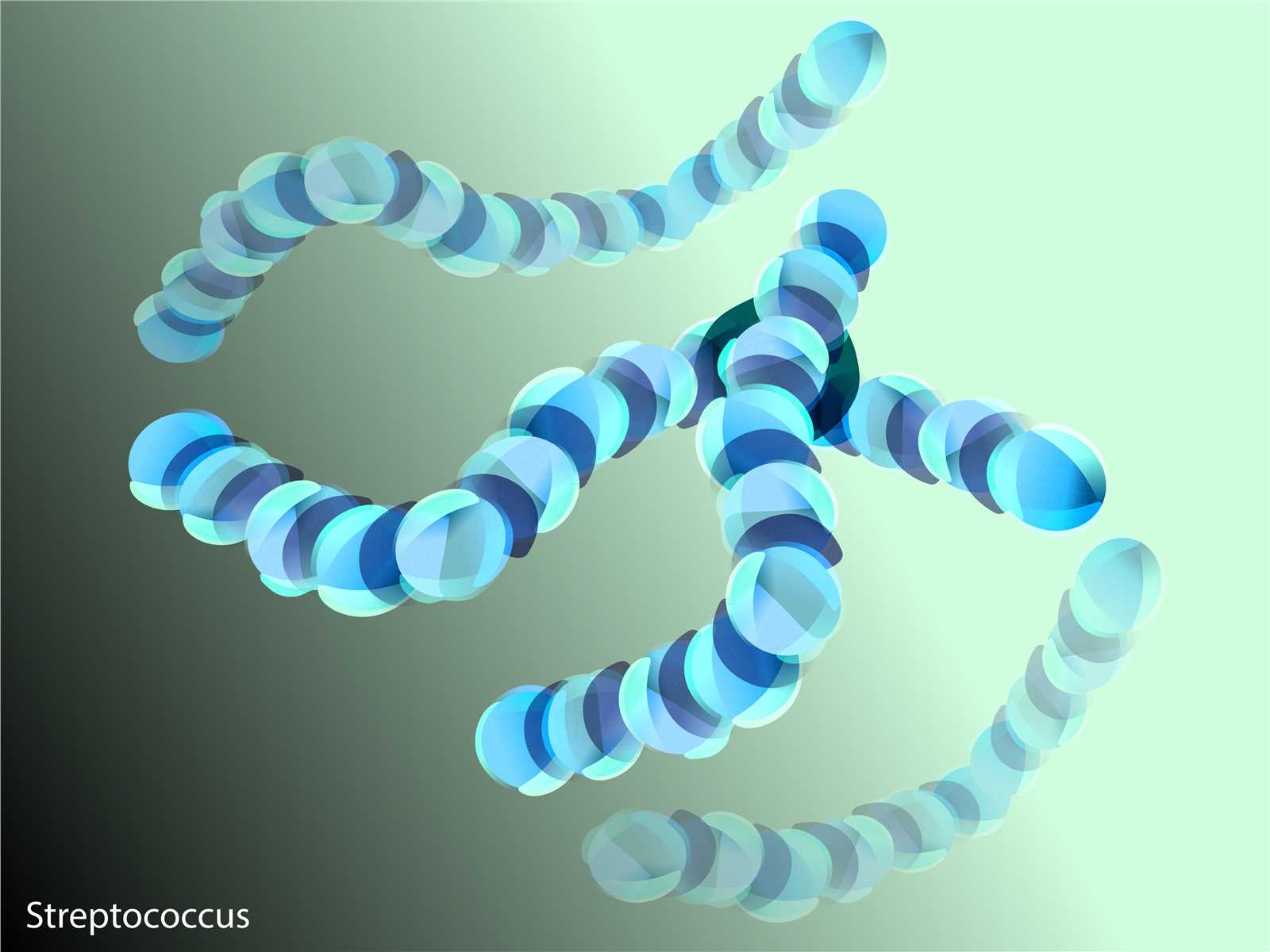 Vaccine Target Validation