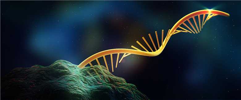 RNA – Creative Biolabs