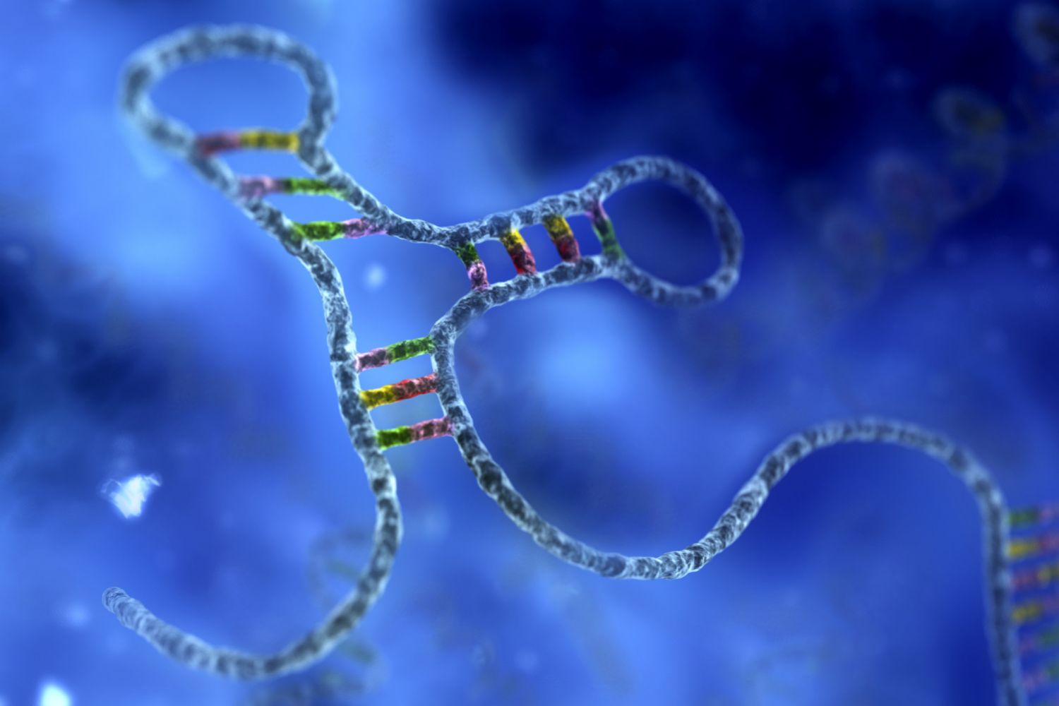 mRNA – Creative Biolabs