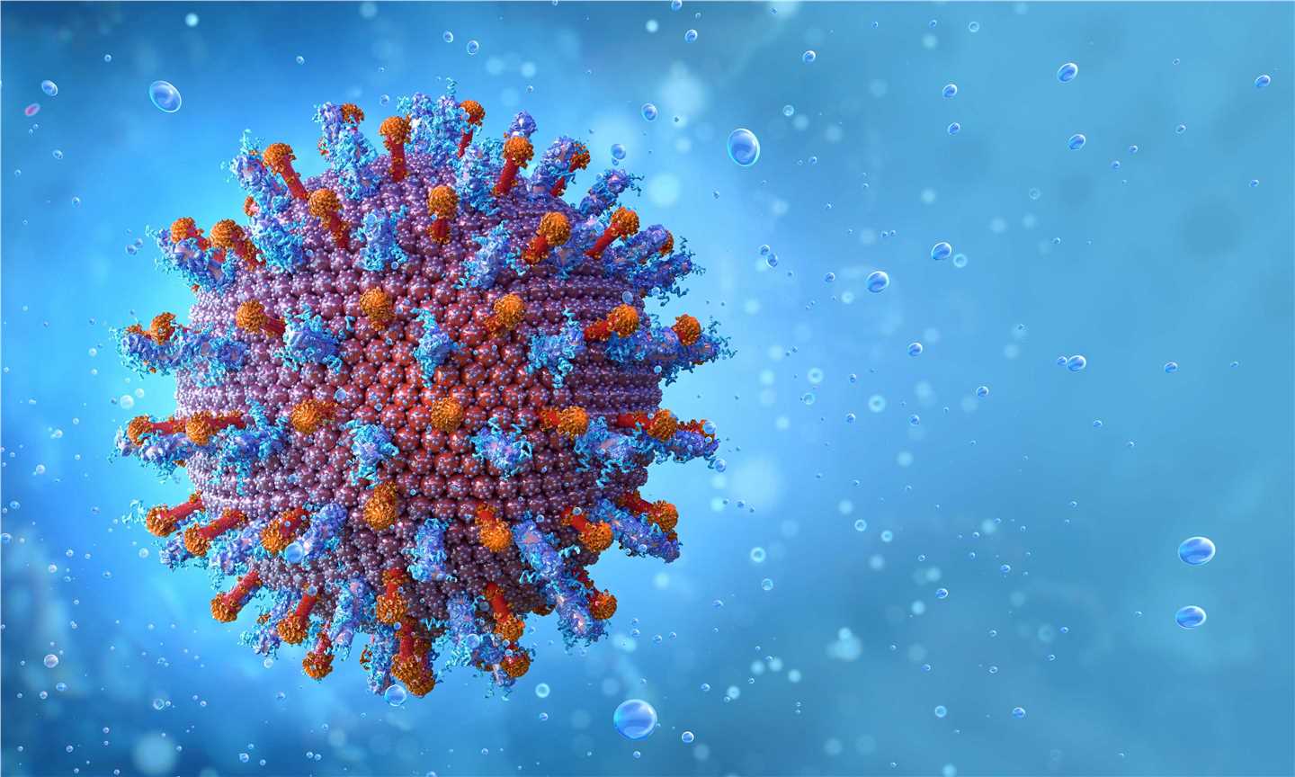 Vaccine Target Validation