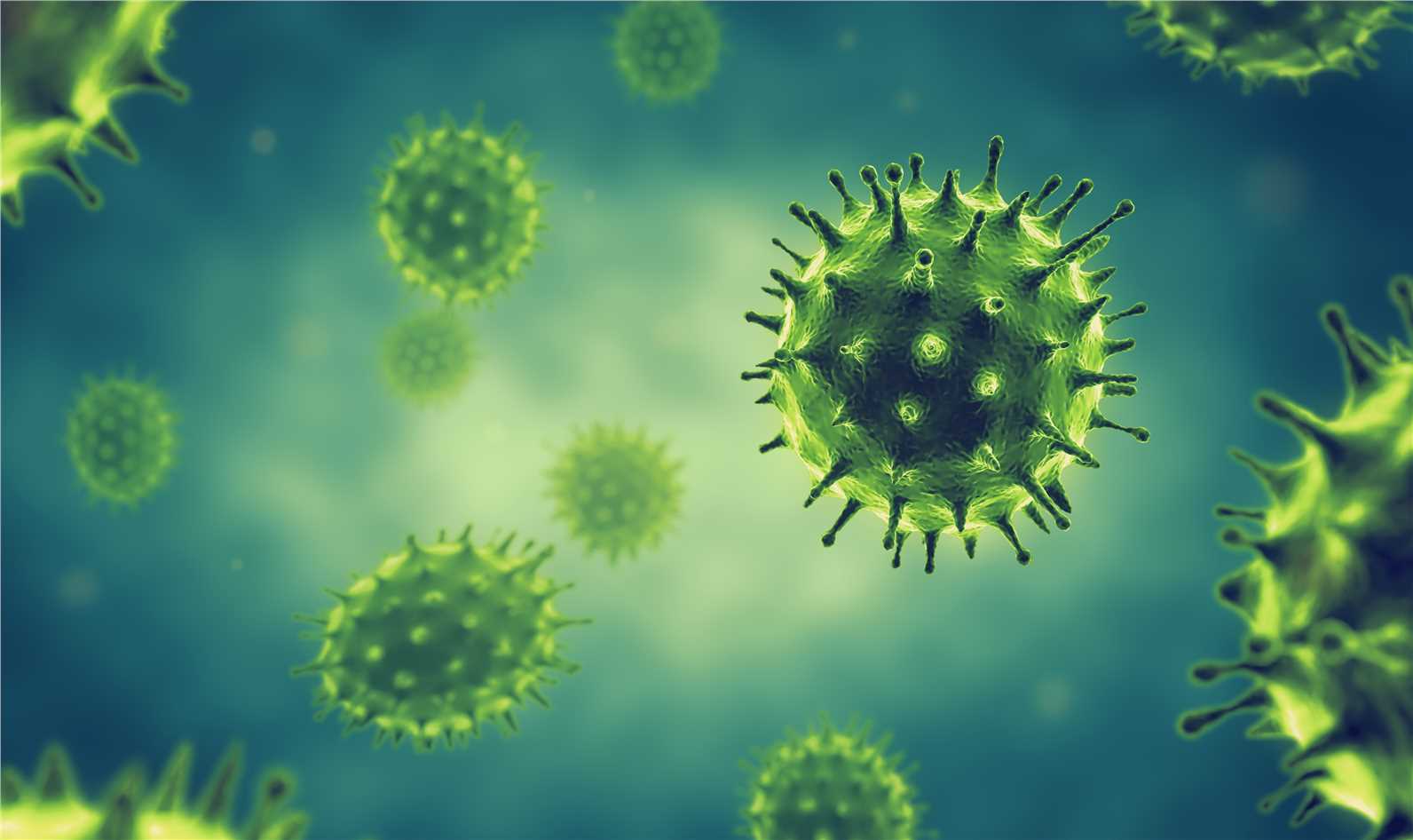 Vaccine Target Validation