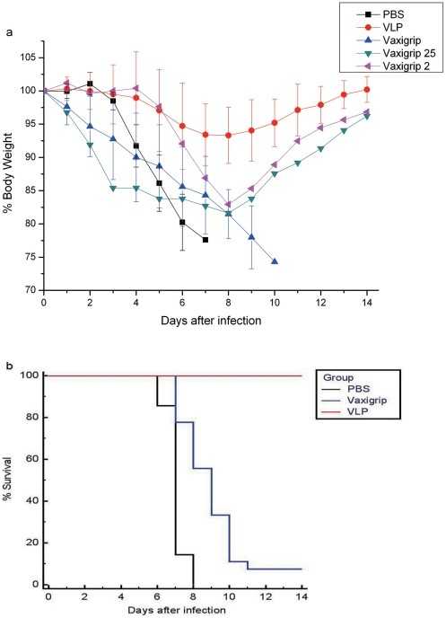 A chart showing heterosubtypic antibody response data.