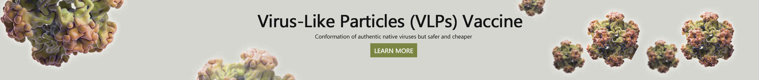 Virus-Like Particles Based Vaccines