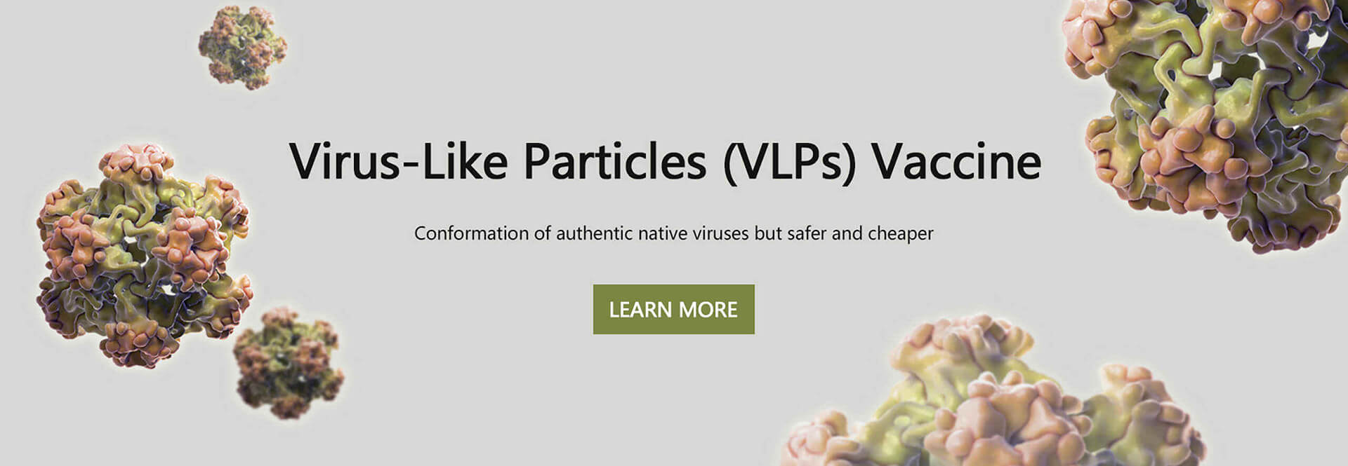 Virus-Like Particles Based Vaccines
