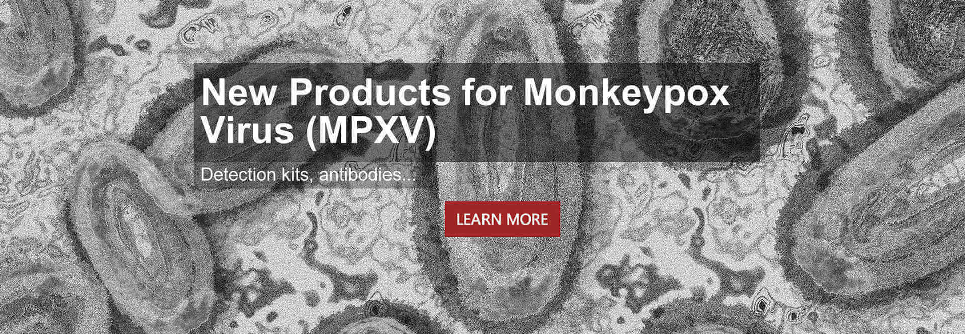 New Products for Monkeypox Virus (MPXV)